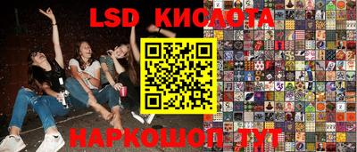 гидра Краснокаменск