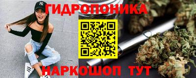 гидра Краснокаменск