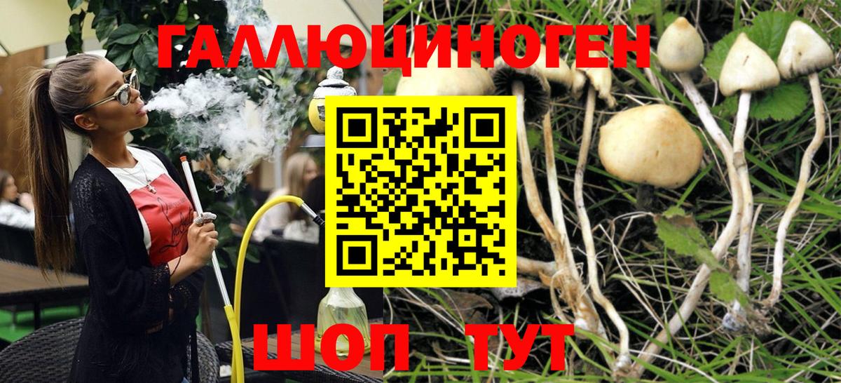 Псилоцибиновые грибы мицелий  Вход с VPN  где купить   Галлюциногенные грибы мицелий  Карталы 