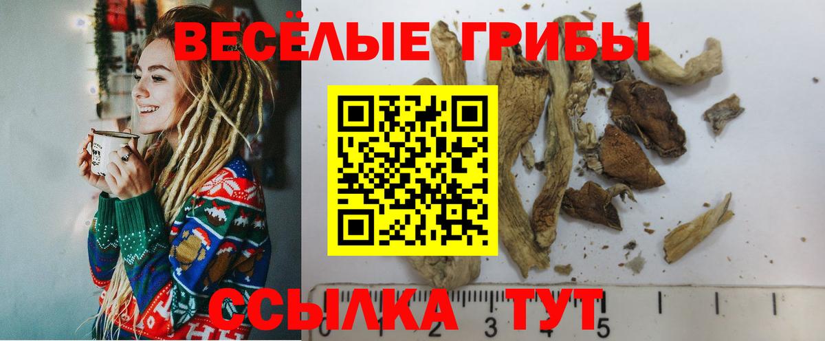 Галлюциногенные грибы MAGIC MUSHROOMS Карталы
